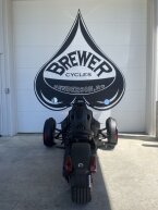 Thumbnail Photo 4 for New 2024 Can-Am Ryker 900 ACE