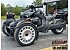 New 2024 Can-Am Ryker 900 Rally