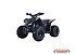 New 2024 Denago Trailhawk