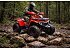 New 2024 Denago Trailhawk