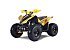 New 2024 Denago Trailhawk