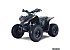 New 2024 Denago Trailhawk