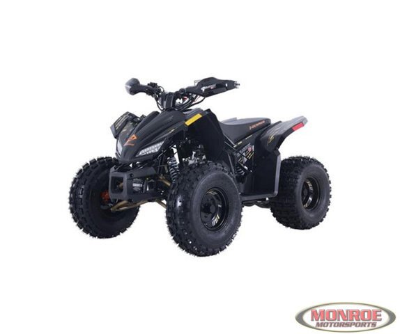 New 2024 Denago Trailhawk