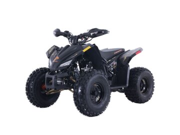 New 2024 Denago Trailhawk