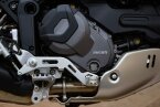 Thumbnail Photo 1 for New 2024 Ducati DesertX