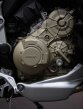 Thumbnail Photo 1 for New 2024 Ducati Multistrada 1158