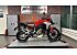 2024 Ducati Multistrada 1158