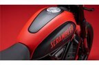Thumbnail Photo 3 for New 2024 Ducati Scrambler