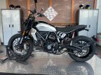 Thumbnail Photo 4 for New 2024 Ducati Scrambler