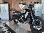 Thumbnail Photo 1 for New 2024 Ducati Scrambler