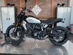 Thumbnail Photo 4 for New 2024 Ducati Scrambler