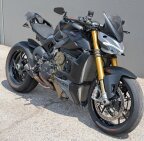 Thumbnail Photo 3 for 2024 Ducati Streetfighter