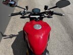 Thumbnail Photo 5 for 2024 Ducati Streetfighter V2