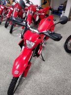 Thumbnail Photo 4 for New 2024 Gas Gas ES 700
