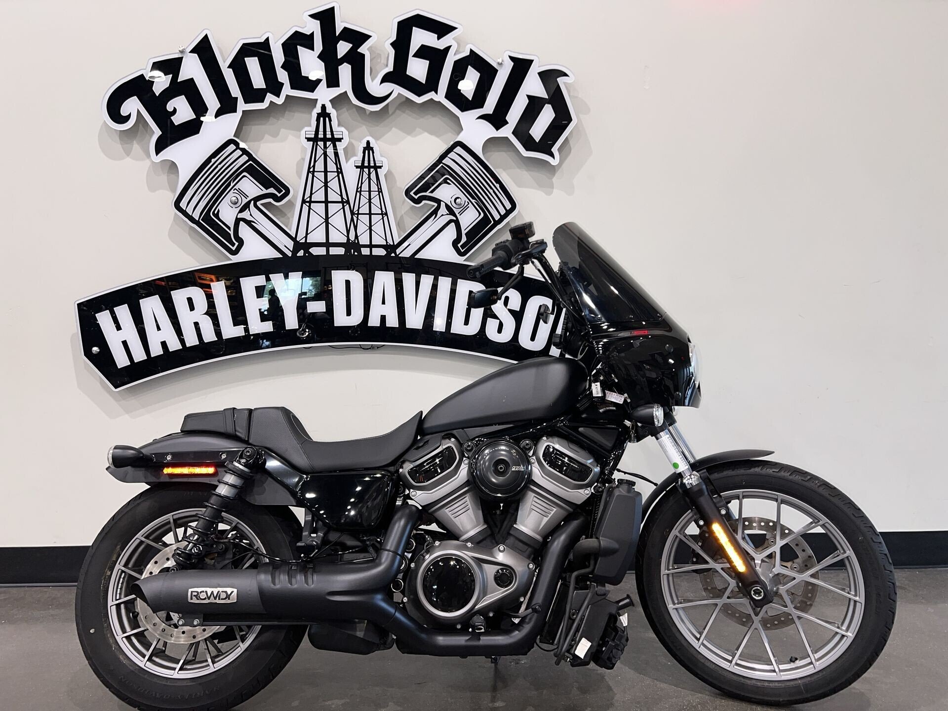 2024 Harley-Davidson Sportster Nightster Special