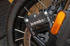Thumbnail Photo 4 for 2024 Harley-Davidson CVO Pan America