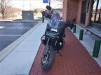 Thumbnail Photo 6 for New 2024 Harley-Davidson Pan America