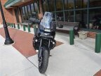 Thumbnail Photo 5 for New 2024 Harley-Davidson Pan America