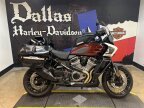 Thumbnail Photo 1 for 2024 Harley-Davidson Pan America Special