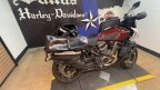Thumbnail Photo 4 for 2024 Harley-Davidson Pan America Special