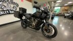 Thumbnail Photo 6 for 2024 Harley-Davidson Pan America Special