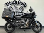Thumbnail Photo 1 for 2024 Harley-Davidson Pan America Special