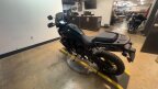Thumbnail Photo 2 for 2024 Harley-Davidson Pan America Special