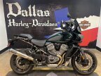 Thumbnail Photo 1 for 2024 Harley-Davidson Pan America Special