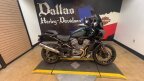 Thumbnail Photo 5 for 2024 Harley-Davidson Pan America Special