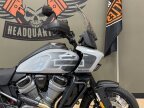 Thumbnail Photo 5 for New 2024 Harley-Davidson Pan America Special