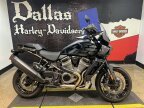 Thumbnail Photo 1 for 2024 Harley-Davidson Pan America Special