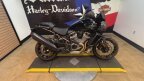 Thumbnail Photo 5 for 2024 Harley-Davidson Pan America Special