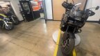 Thumbnail Photo 6 for 2024 Harley-Davidson Pan America Special