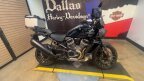Thumbnail Photo 4 for 2024 Harley-Davidson Pan America Special