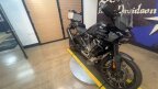 Thumbnail Photo 5 for 2024 Harley-Davidson Pan America Special