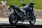 Thumbnail Photo 5 for 2024 Harley-Davidson Pan America Special