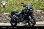 Thumbnail Photo 4 for 2024 Harley-Davidson Pan America Special