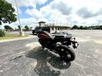 Thumbnail Photo 6 for 2024 Harley-Davidson Pan America Special
