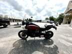Thumbnail Photo 5 for 2024 Harley-Davidson Pan America Special