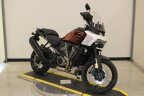 Thumbnail Photo 1 for New 2024 Harley-Davidson Pan America Special