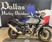 2024 Harley-Davidson Pan America Special