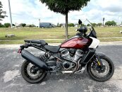 2024 Harley-Davidson Pan America Special