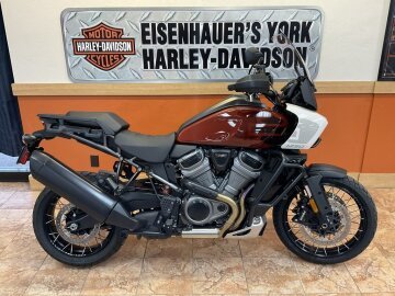 2024 Harley-Davidson Pan America Special