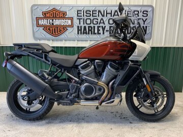 2024 Harley-Davidson Pan America Special