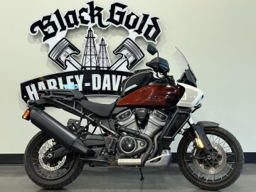 2024 Harley-Davidson Pan America Special