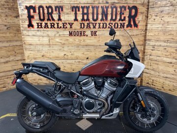 2024 Harley-Davidson Pan America Special