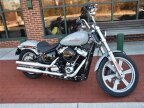 Thumbnail Photo 1 for New 2024 Harley-Davidson Softail