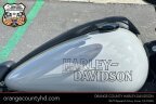 Thumbnail Photo 6 for New 2024 Harley-Davidson Softail Low Rider S