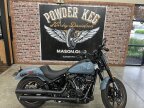 Thumbnail Photo 4 for New 2024 Harley-Davidson Softail Low Rider S