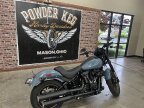 Thumbnail Photo 2 for New 2024 Harley-Davidson Softail Low Rider S